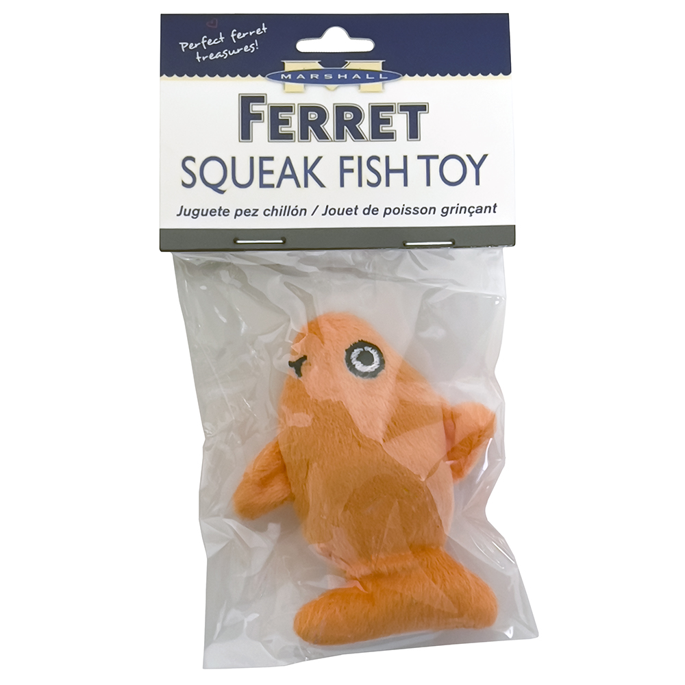 Squeak Fish Toy